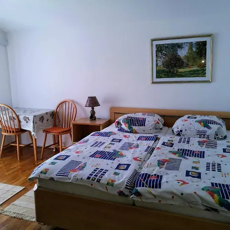 Apartman Coskovic *