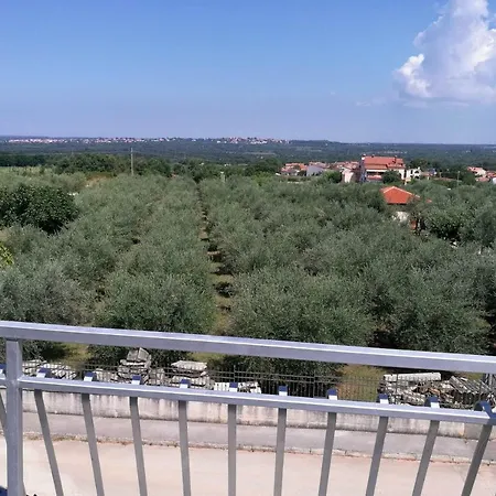 Coskovic * Rosini